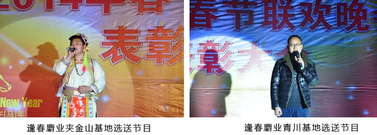 CA88 - 在线登录