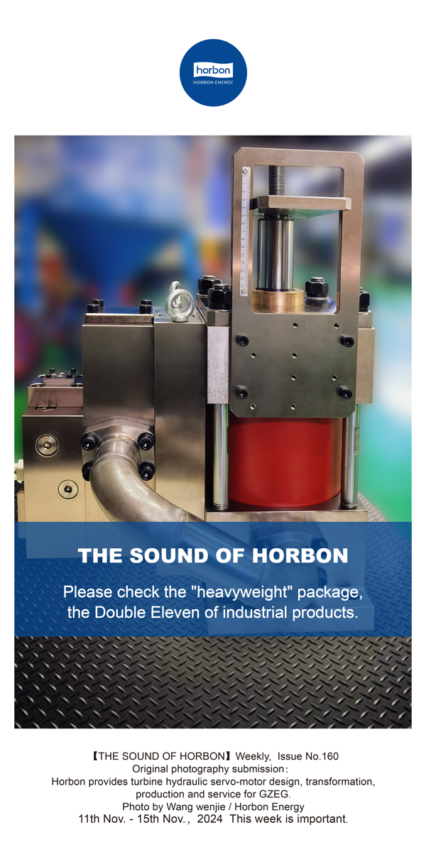 【和之声】请查收“重量级”包裹，，，，，，，，工业品的双十一。。。。。。。。(总第160期）-2024.11.11-11英文改小季度推送用.jpg