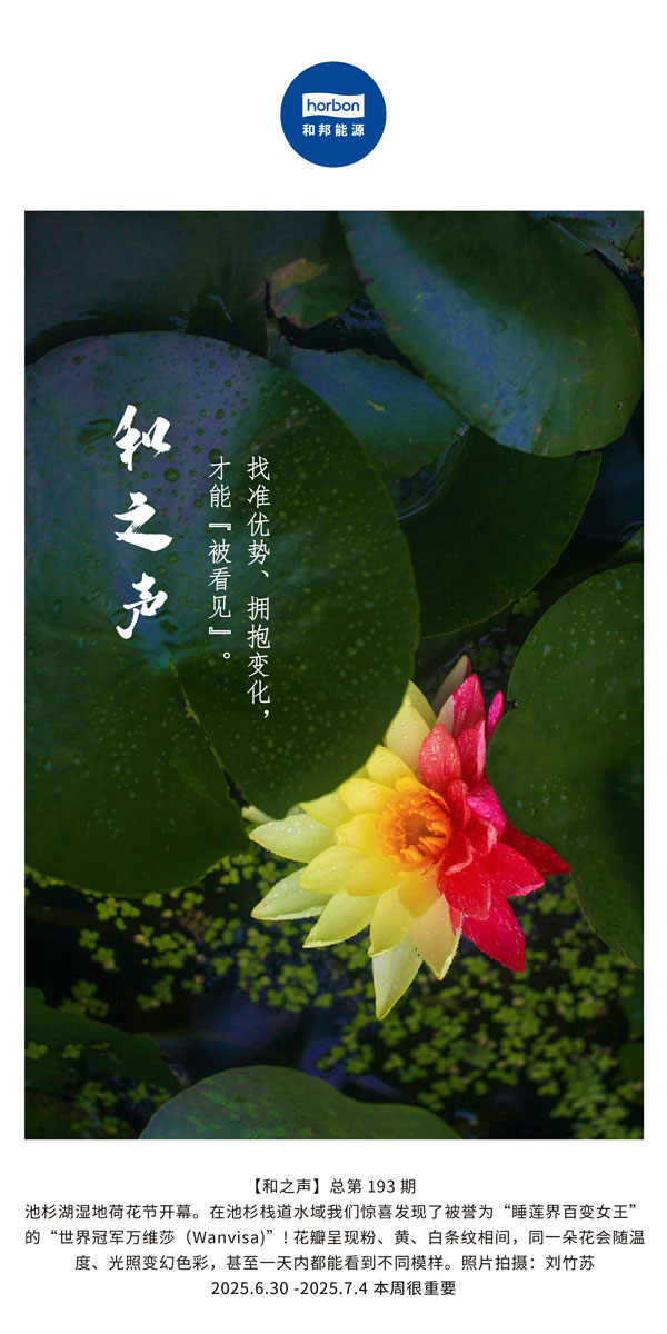 【和之声】找准优势、拥抱转变，，，，，，，才华“被望见”。。。。。(总第193期）--2025.6中文导出季度推送用.jpg